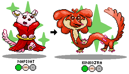 Napcoat&amp;Kinkojra